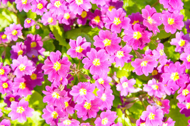 Similar image 307468