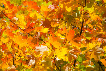 Similar image 307521