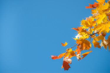 Similar image 307522