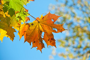 Similar image 307523