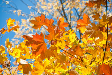 Similar image 307526