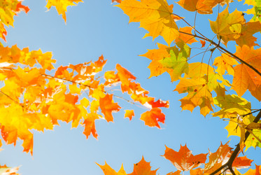 Similar image 307527