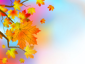 Similar image 307528