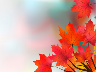 Similar image 307529