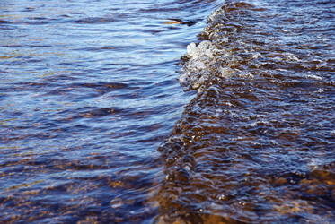 Similar image 307545