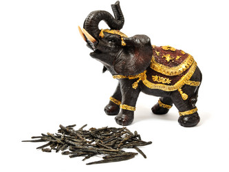 Similar image 307560