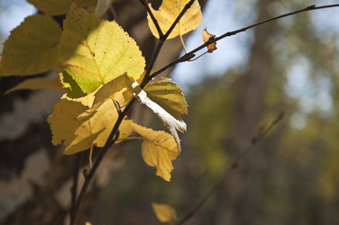 Similar image 307561