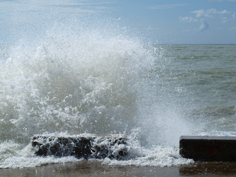 Similar image 307629