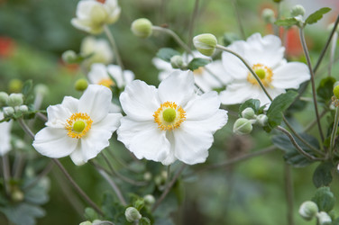 Similar image 307632