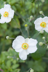 Similar image 307633