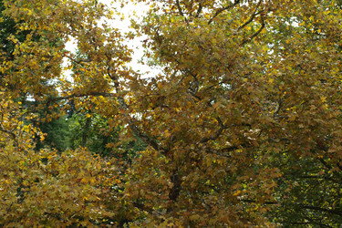 Similar image 307650