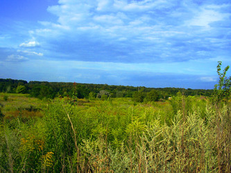 Similar image 307660