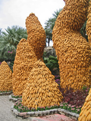 Similar image 307679