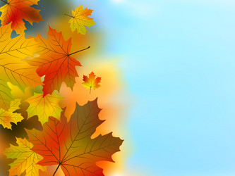 Similar image 307859