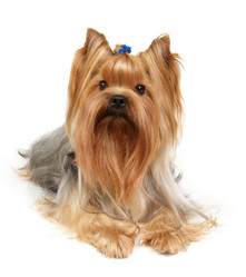 Similar image 307916