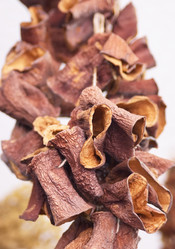 Similar image 308025