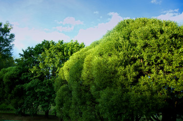 Similar image 308031