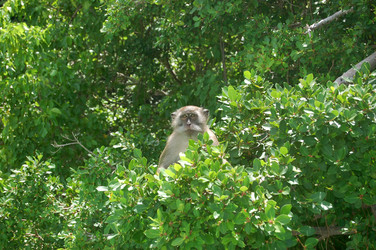 Similar image 308049