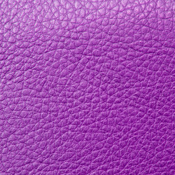 Similar image 308050