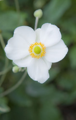 Similar image 308053