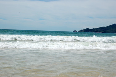 Similar image 308088