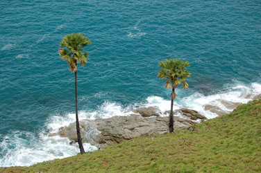 Similar image 308089