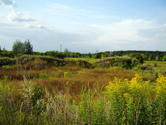 Similar image 308092