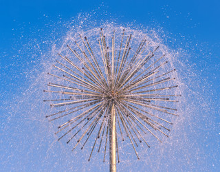 Similar image 308132