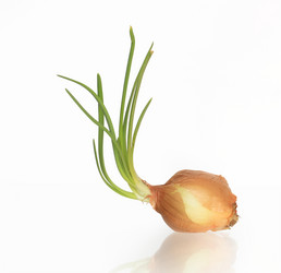 Similar image 308147