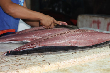 Similar image 308165