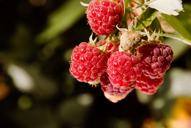 Similar image 308223