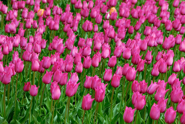 Similar image 308225