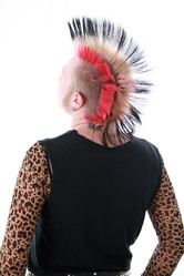 Similar image 308238