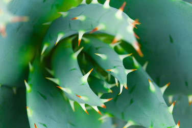 Similar image 308267