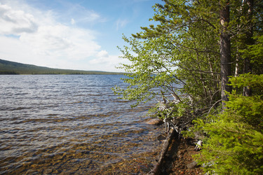 Similar image 308274