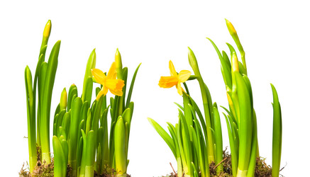 Similar image 308280