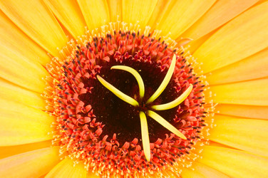 Similar image 308304