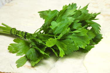 Similar image 308401