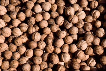 Similar image 308464