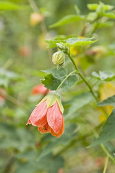 Similar image 308484