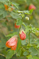 Similar image 308485