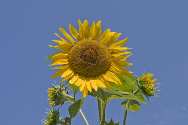 Similar image 308487