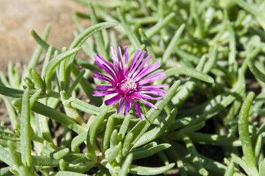 Similar image 308488