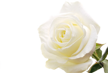 Similar image 308492