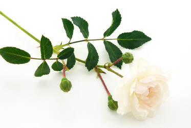 Similar image 308493