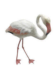 Similar image 308508