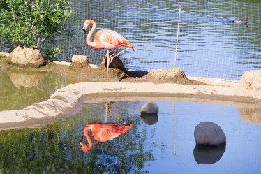 Similar image 308509