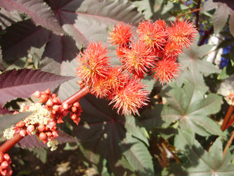 Similar image 308570