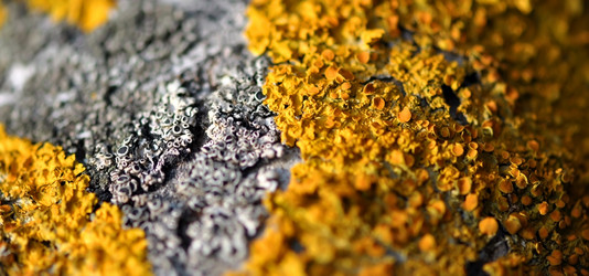 Similar image 308619