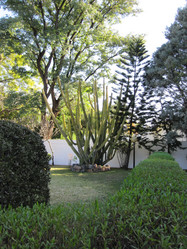 Similar image 308633